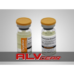 Testosterone Enanthate 2500 10 Ml 250 Mg Oxydine Metabolics